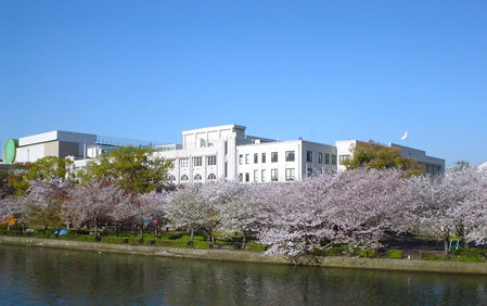 大阪造幣局の桜